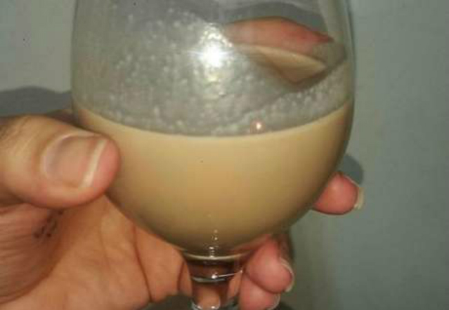 amarula caseiro com vodca