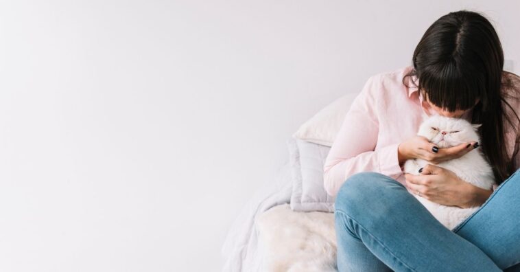 animais de estimação e isolamento social