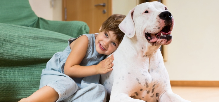 ter animal em casa espaço
