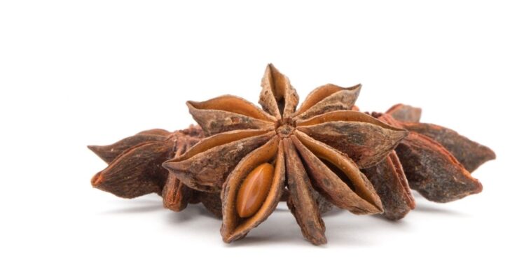 anis estrelado para mau hálito