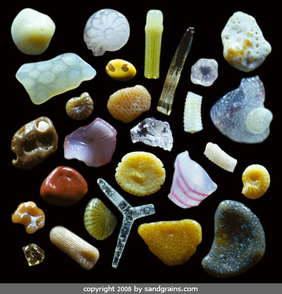 areia da praia no microscópio