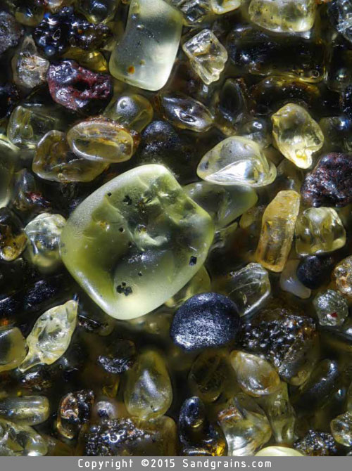 areia da praia no microscópio