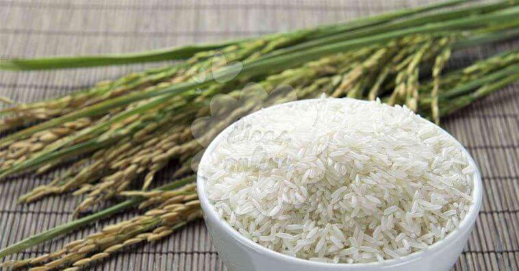 dieta do arroz