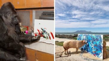 arte feita por animais