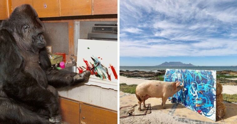 arte feita por animais