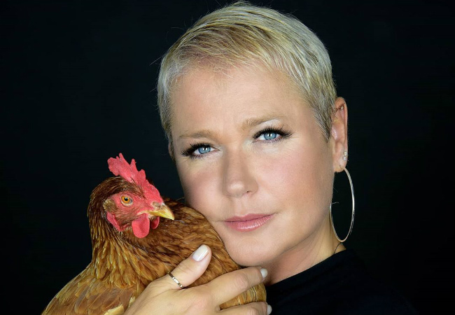 artistas mais bem pagos da TV brasileira xuxa