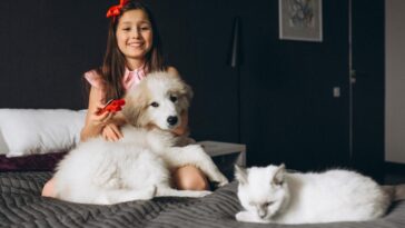 aumento de adoção de pets na quarentena