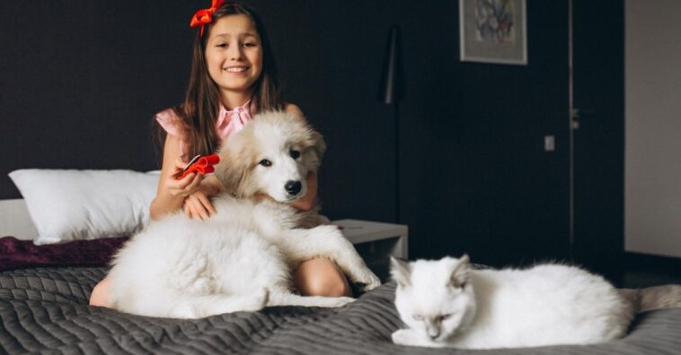 aumento de adoção de pets na quarentena