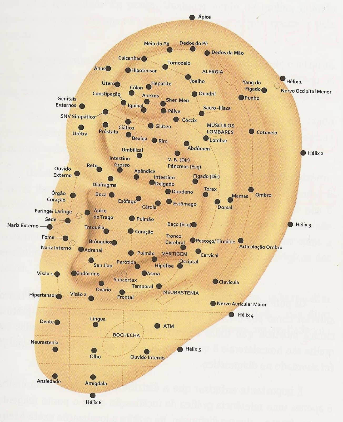 auriculoterapia principais pontos