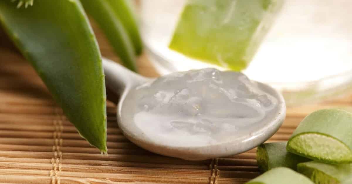 babosa trata gastrite