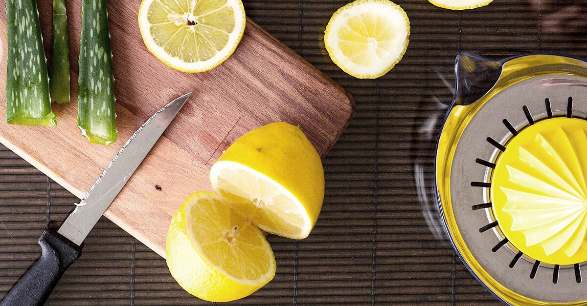 babosa limao intestinos