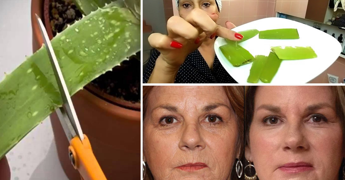 Babosa no rosto: benefícios e como aplicar para melhorar a saúde da pele