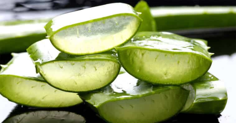 trate queimaduras solares com babosa