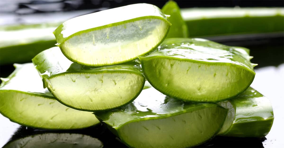 trate queimaduras solares com babosa