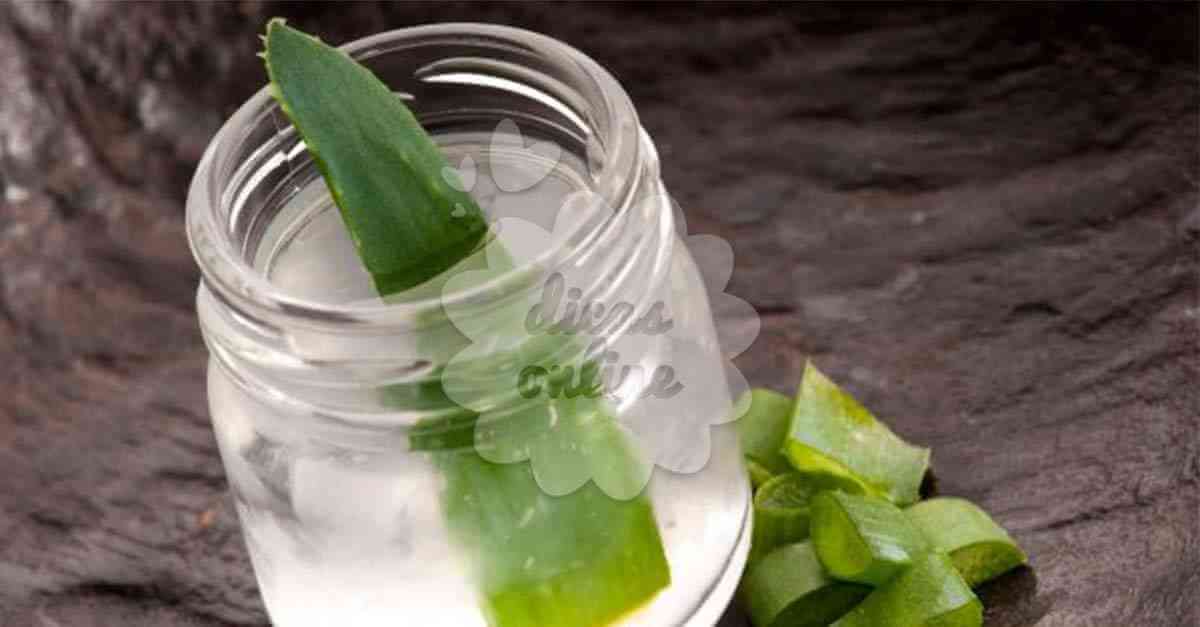 Suco de babosa para a visão