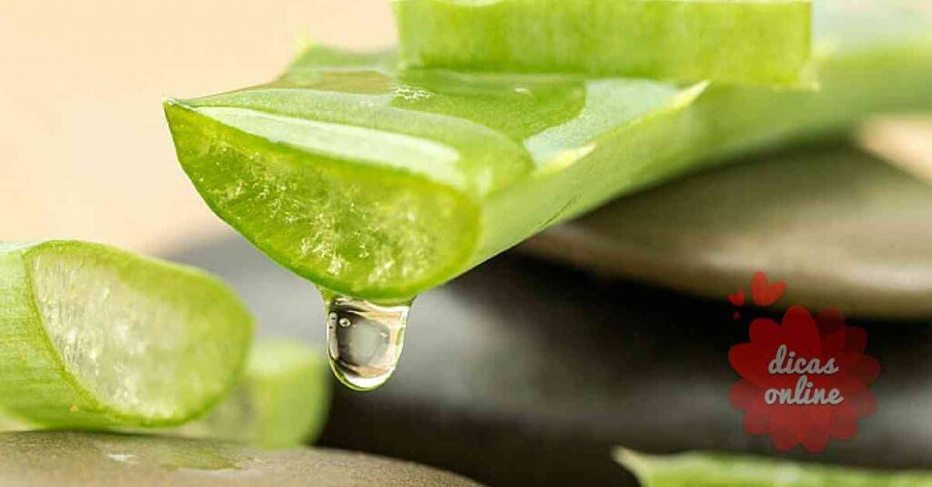 babosa_serve_dicas_online