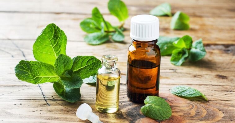 balsamo caseiro para tosse