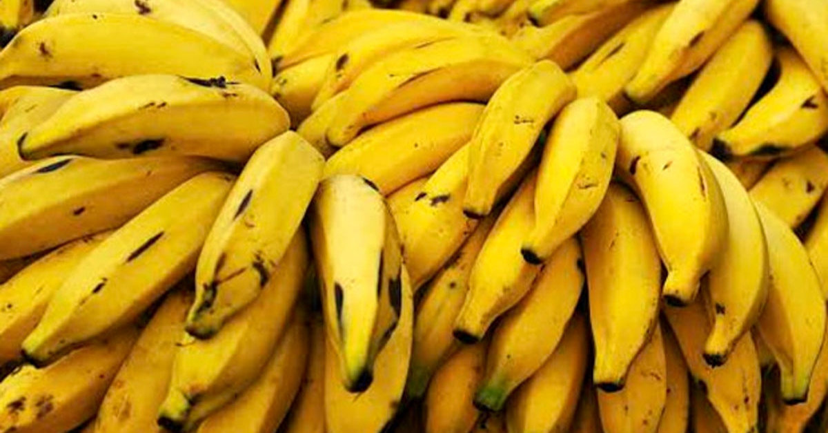 Banana para cãibra: veja qual o melhor tipo e como consumir
