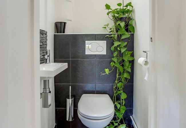 banheiro sem janela com plantas