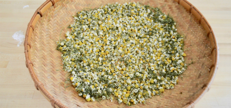 banho de assento de camomila benefícios