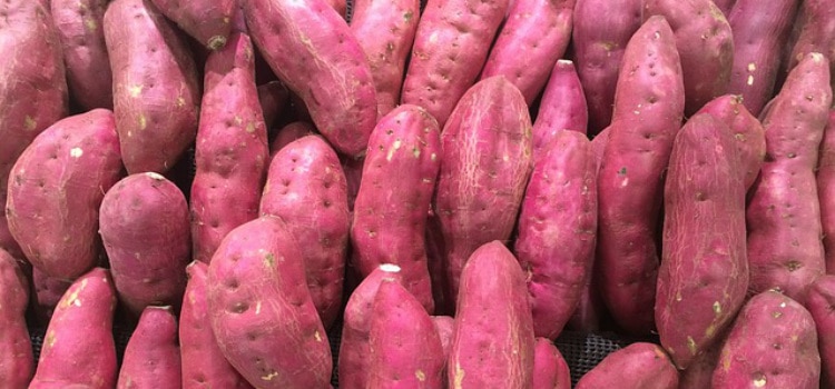 batata-doce emagrece e outros benefícios