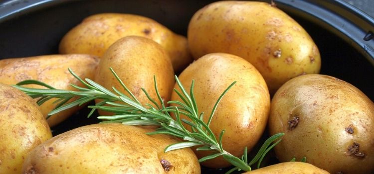 batata inglesa receitas