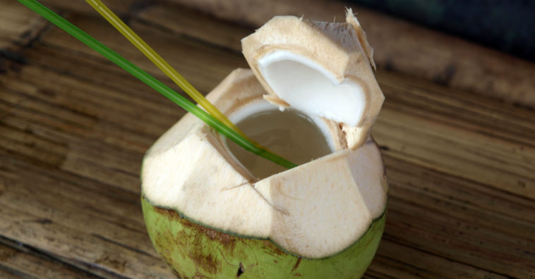 beber água de coco