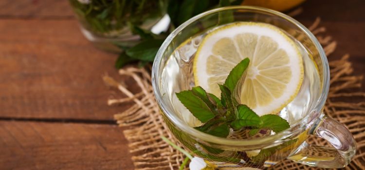 tipos de bebidas com hortelã para o fígado