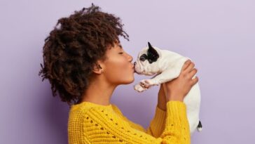 beijar cão e gato faz mal