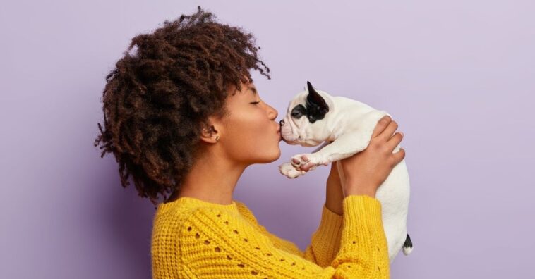 beijar cão e gato faz mal