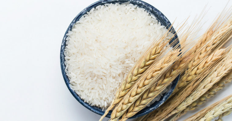 óleo de arroz para beleza