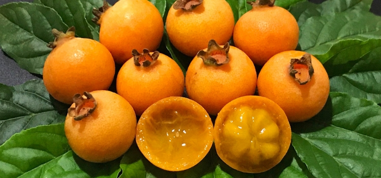 benefícios da gabiroba