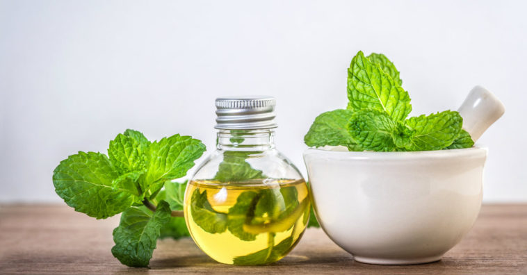 óleo de hortelã