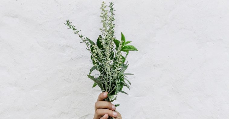 benefícios espirituais do alecrim