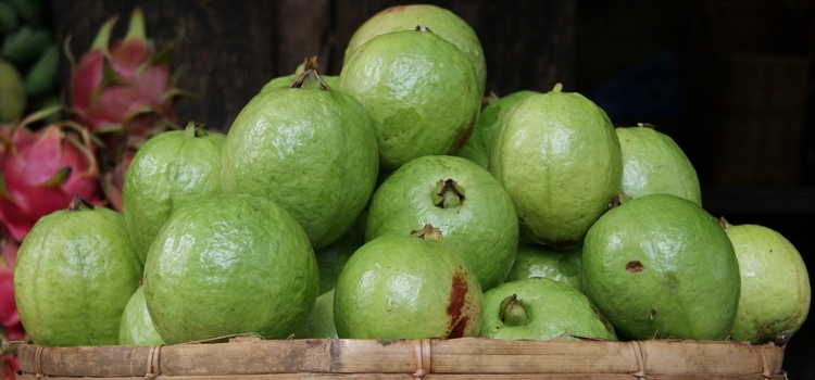 benefícios da goiaba