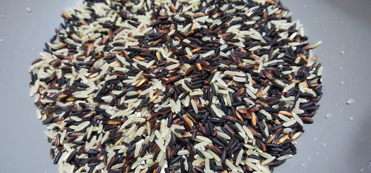 benefícios do arroz integral