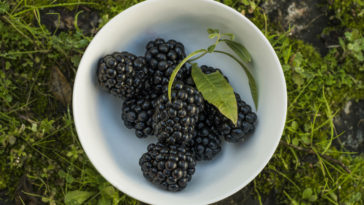 benefícios da amora para a saúde