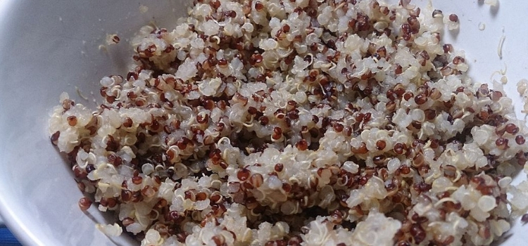 quais são os benefícios da quinoa