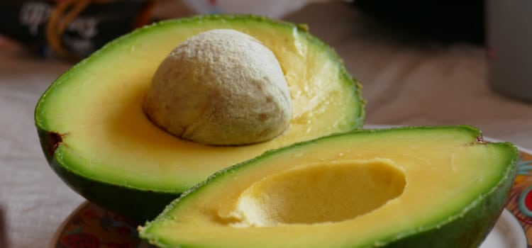 benefícios do abacate e do caroço