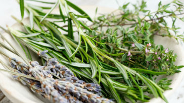 benefícios do alecrim para a saúde