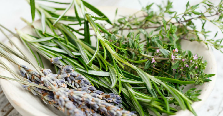 benefícios do alecrim para a saúde