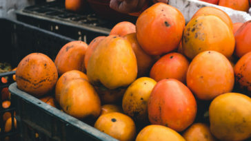 benefícios do caqui