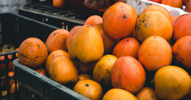 benefícios do caqui