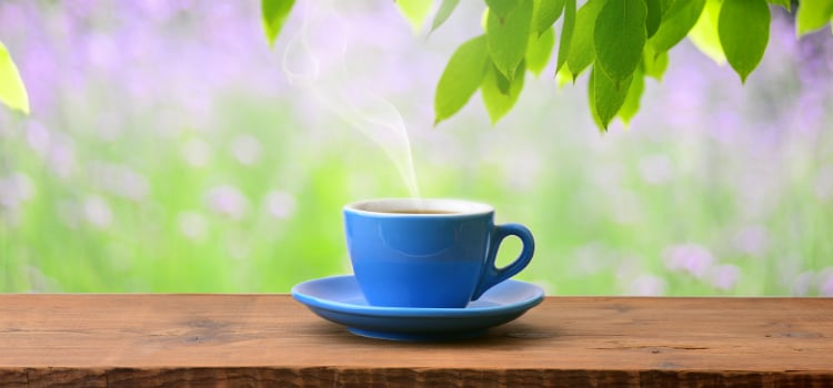 benefícios do chá verde e como consumir