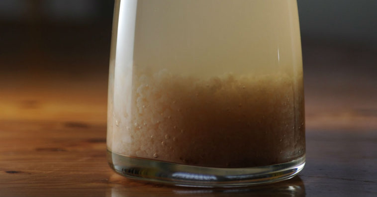 benefícios do kefir para a saúde