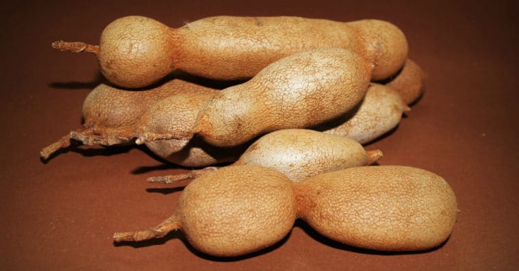 benefícios do tamarindo para a pele