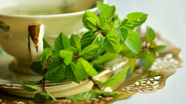 chá de hortelã com gengibre