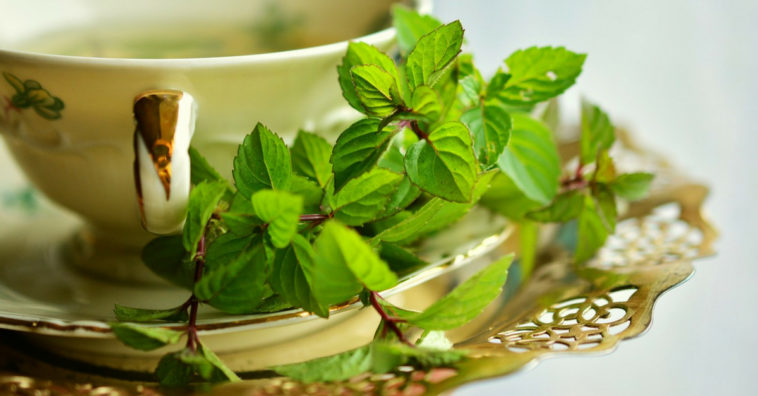 Benefícios do chá de hortelã com gengibre e como fazer