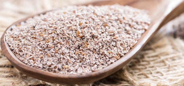 psyllium