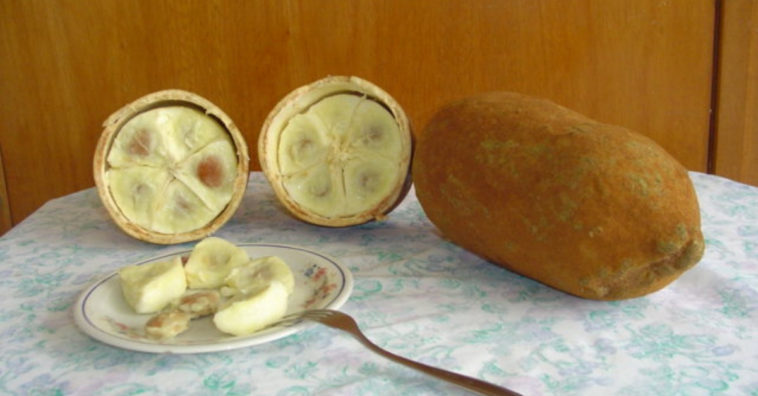 benefícios suco de cupuaçu